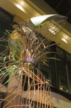 Sicht auf die Halskrause des Vogels